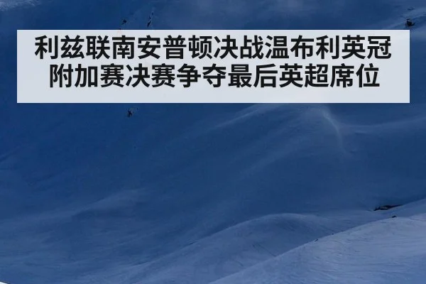 利兹联南安普顿决战温布利英冠附加赛决赛争夺最后英超席位