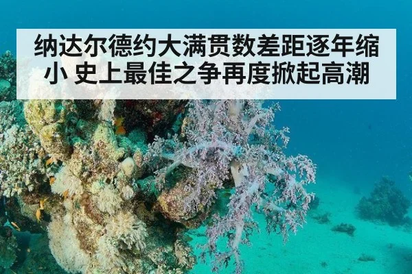 纳达尔德约大满贯数差距逐年缩小 史上最佳之争再度掀起高潮